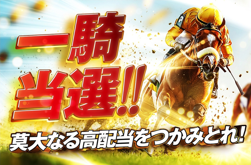 一騎当選！(地方・中央)