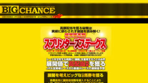ビッグチャンスは悪徳or詐欺?口コミ評判、検証内容、サイト情報まとめ