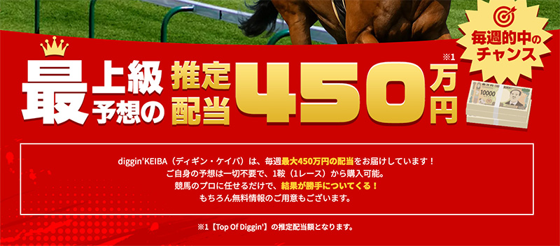 ディギンケイバとは