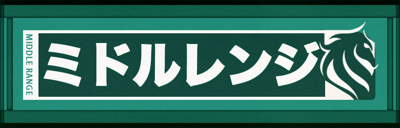 ミドルレンジ情報について