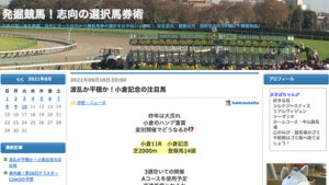 発掘競馬！志向の選択馬券術は悪徳or詐欺？口コミ評判、検証内容、サイト情報まとめ