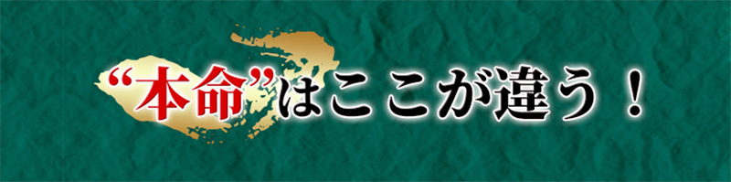 本命はここが違う