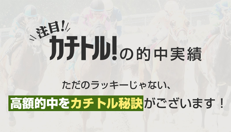 カチトルの的中実績の秘訣