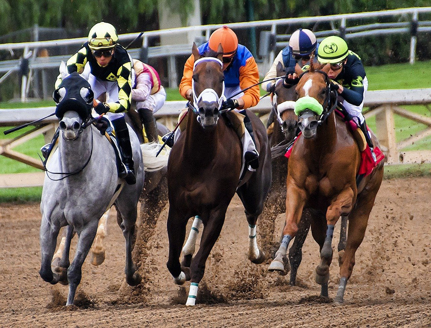 プロの競馬予想が無料で見られる口コミでも人気の優良サイトを見つける方法