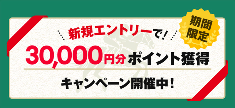 ポイント獲得キャンペーン中
