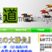 競馬予想サイト キャプテン競馬情報馬券道
