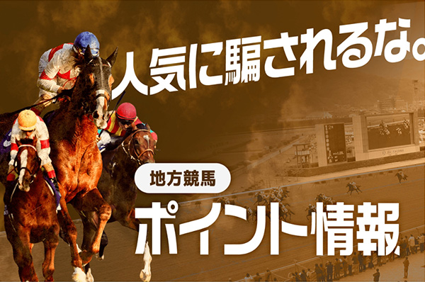 ポイント情報(地方競馬)