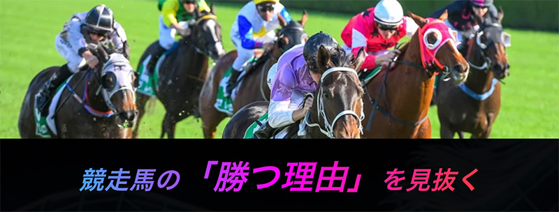 ① 馬の行動心理学:序列と闘争心の定量化