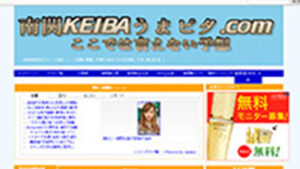 南関KEIBAうまピタ.comは悪徳or詐欺?口コミ評判、検証内容、サイト情報まとめ