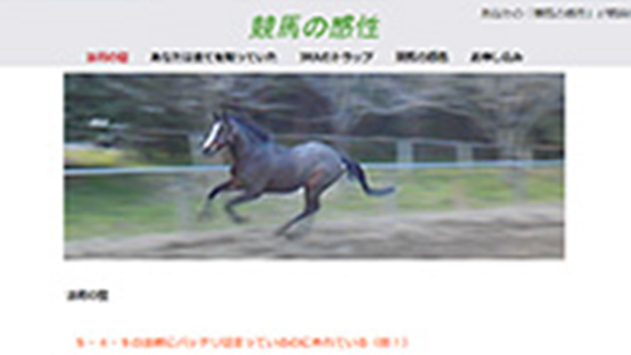 競馬予想サイト エヌビーシーの法則