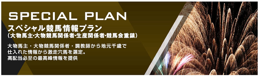 SPECIAL PLAN(スペシャルプラン)