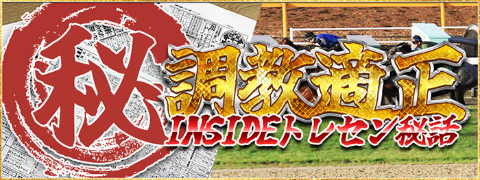マル秘調教適正