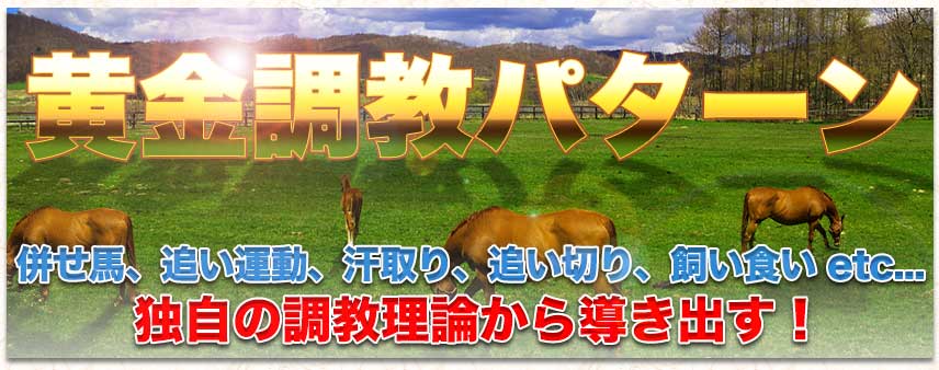 令和ケイバ 黄金調教パターン