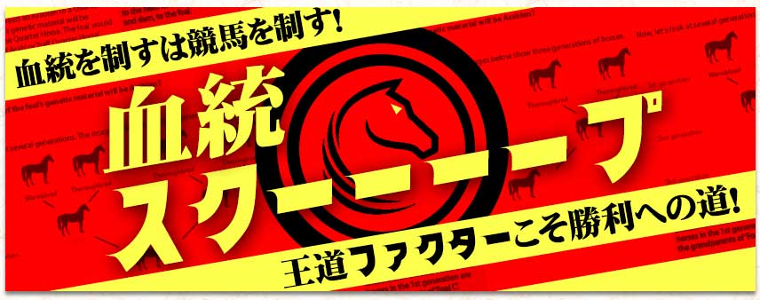 令和ケイバ 血統スクーーーープ