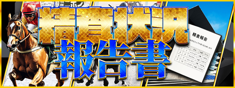 精査状況報告書
