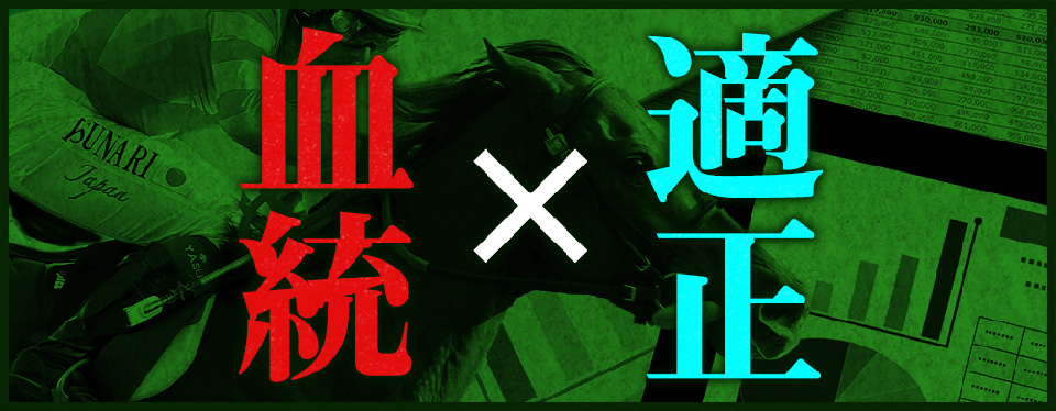 有料情報 血統×適正