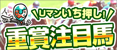 要注目の馬を見解付きで毎週公開