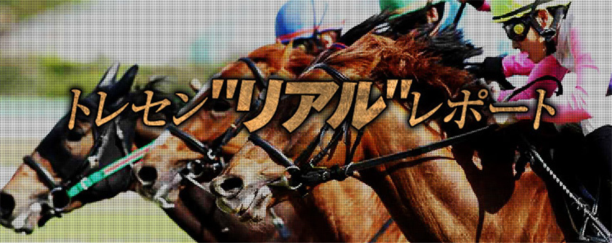 競馬予想サイト ターフビジョン トレセン“ リアル ”レポート