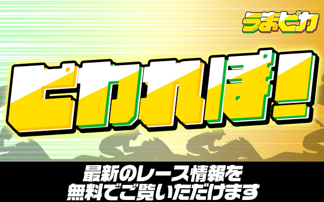 ピカれぽ!レースリサーチ!