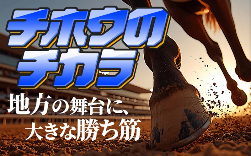 チホウのチカラ