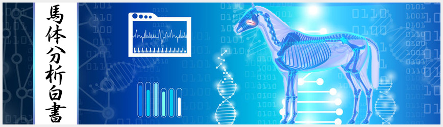 馬体分析白書