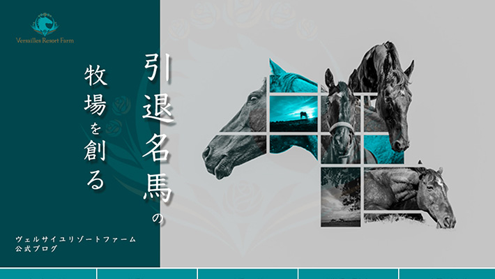 競馬予想サイト引退馬牧場を創るヴェルサイユリゾートファーム公式ブログ