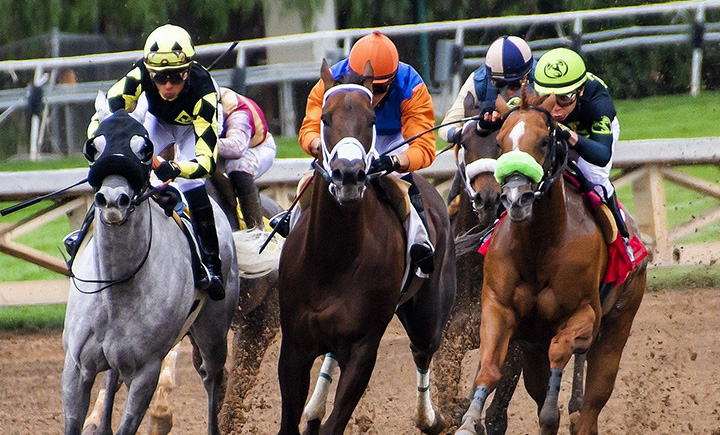 よく当たる地方競馬予想は？地方競馬で稼ぎたい人のための知識を厳選公開！